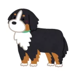 Perro talle L — referencia 1