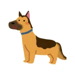 Perro talle L — referencia 2