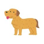 Perro talle L — referencia 3