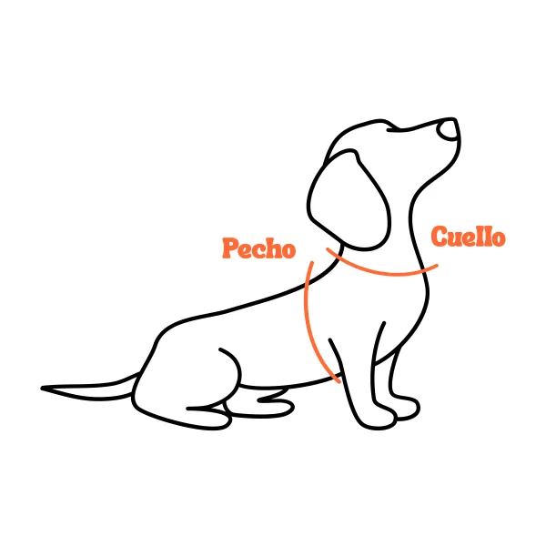 Diagrama de medición — indica dónde medir el Pecho y el Cuello del perro